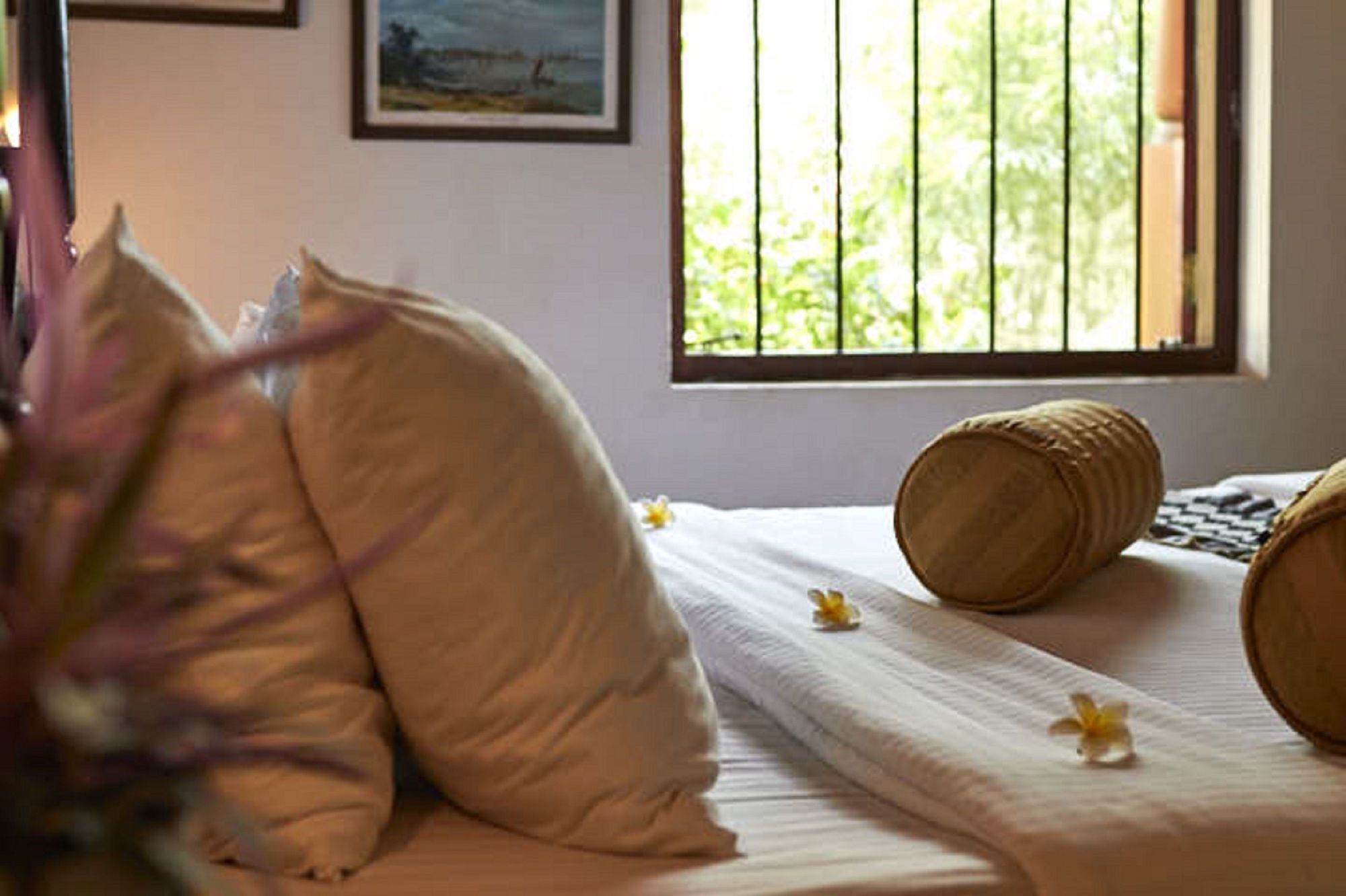 Villa Sunbird Negombo Bagian luar foto